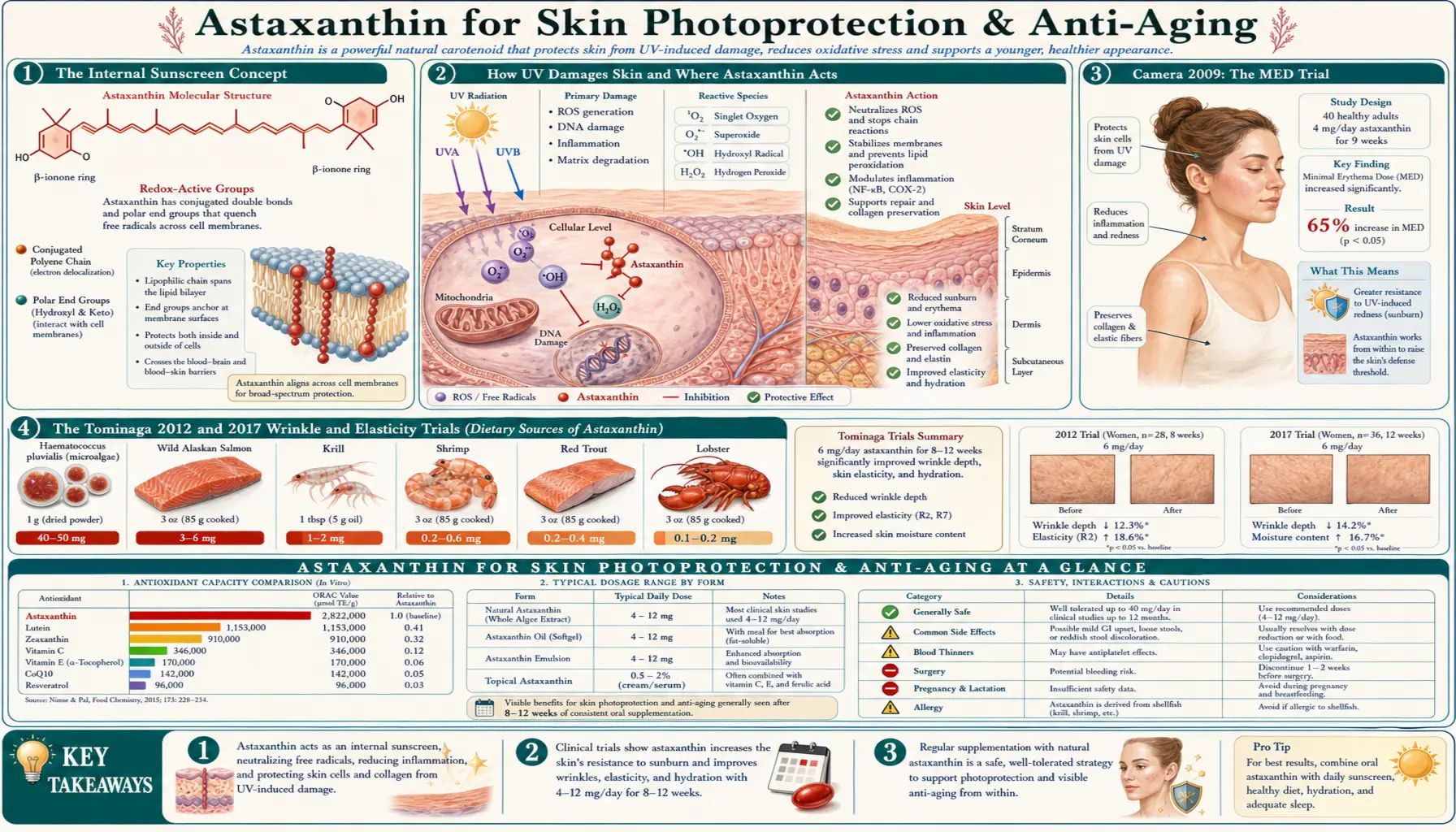 Skin Photoprotection — scientific infographic poster