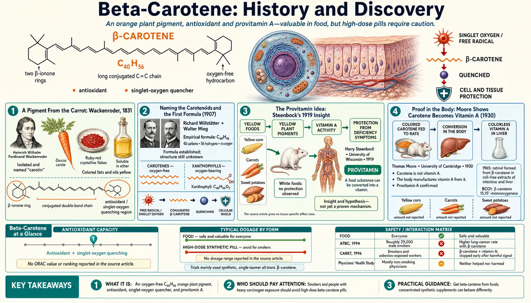 History — scientific infographic poster