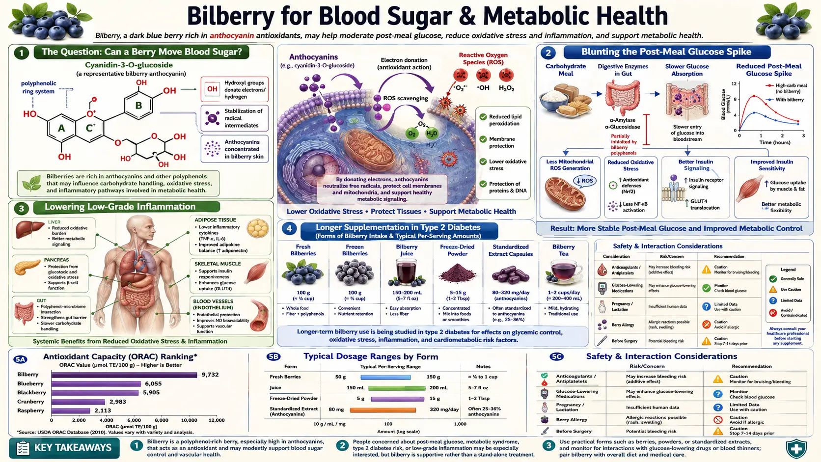 Blood Sugar and Metabolic — scientific infographic poster