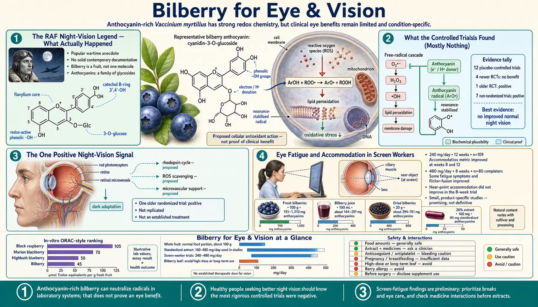 Eye and Vision — scientific infographic poster