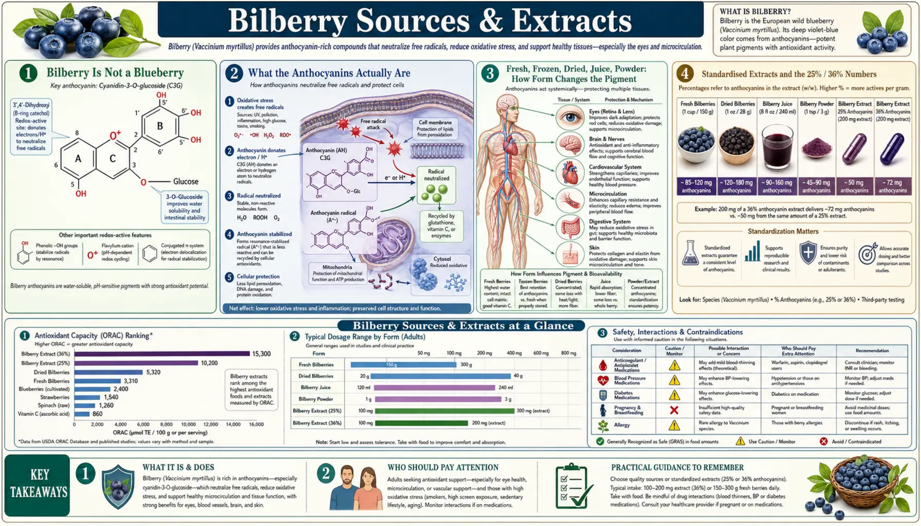 Sources and Extracts — scientific infographic poster