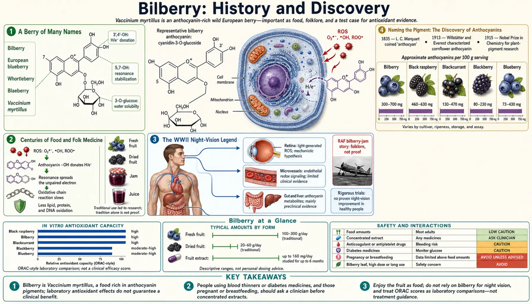 History — scientific infographic poster