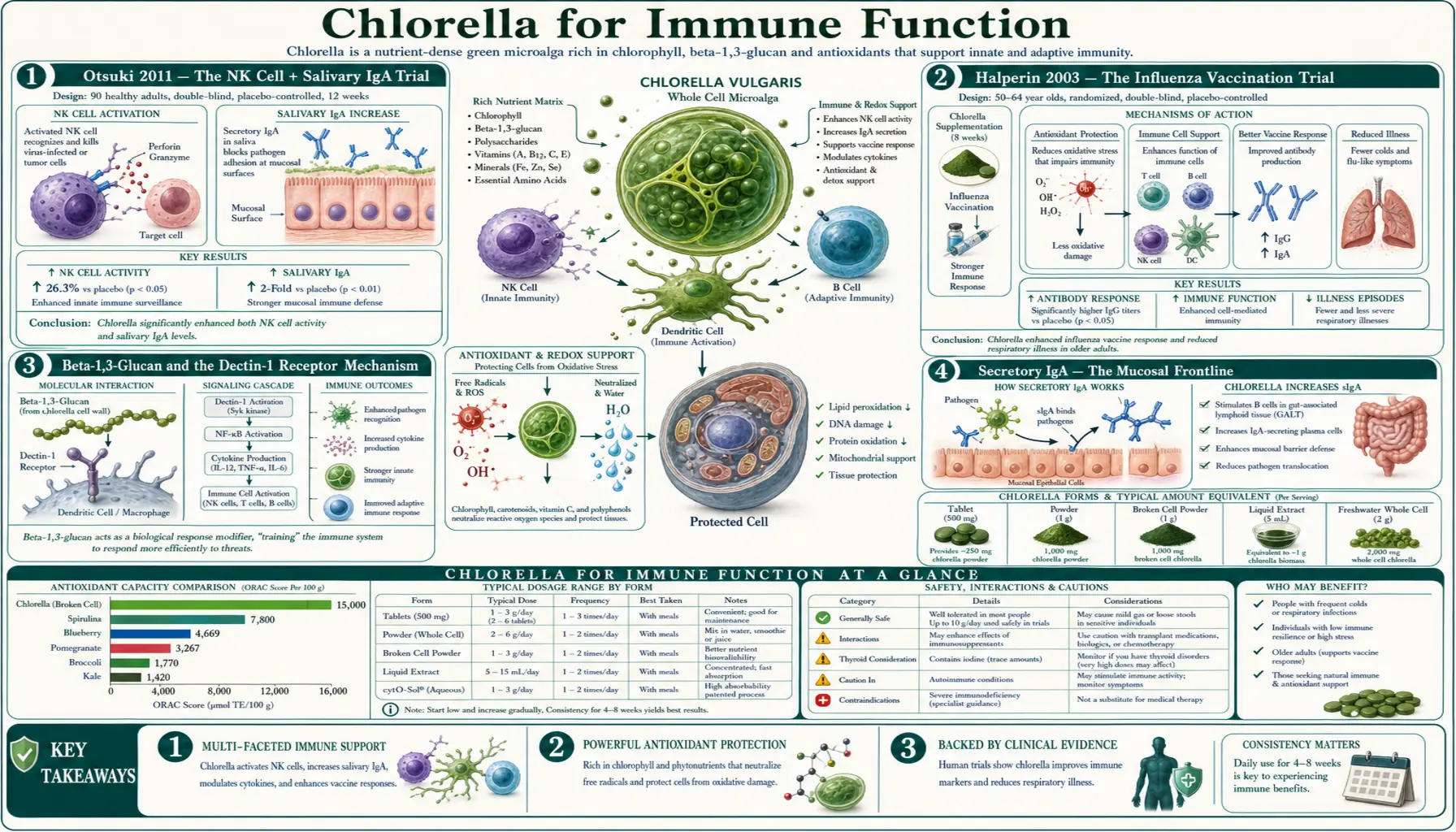 Immune Function — scientific infographic poster