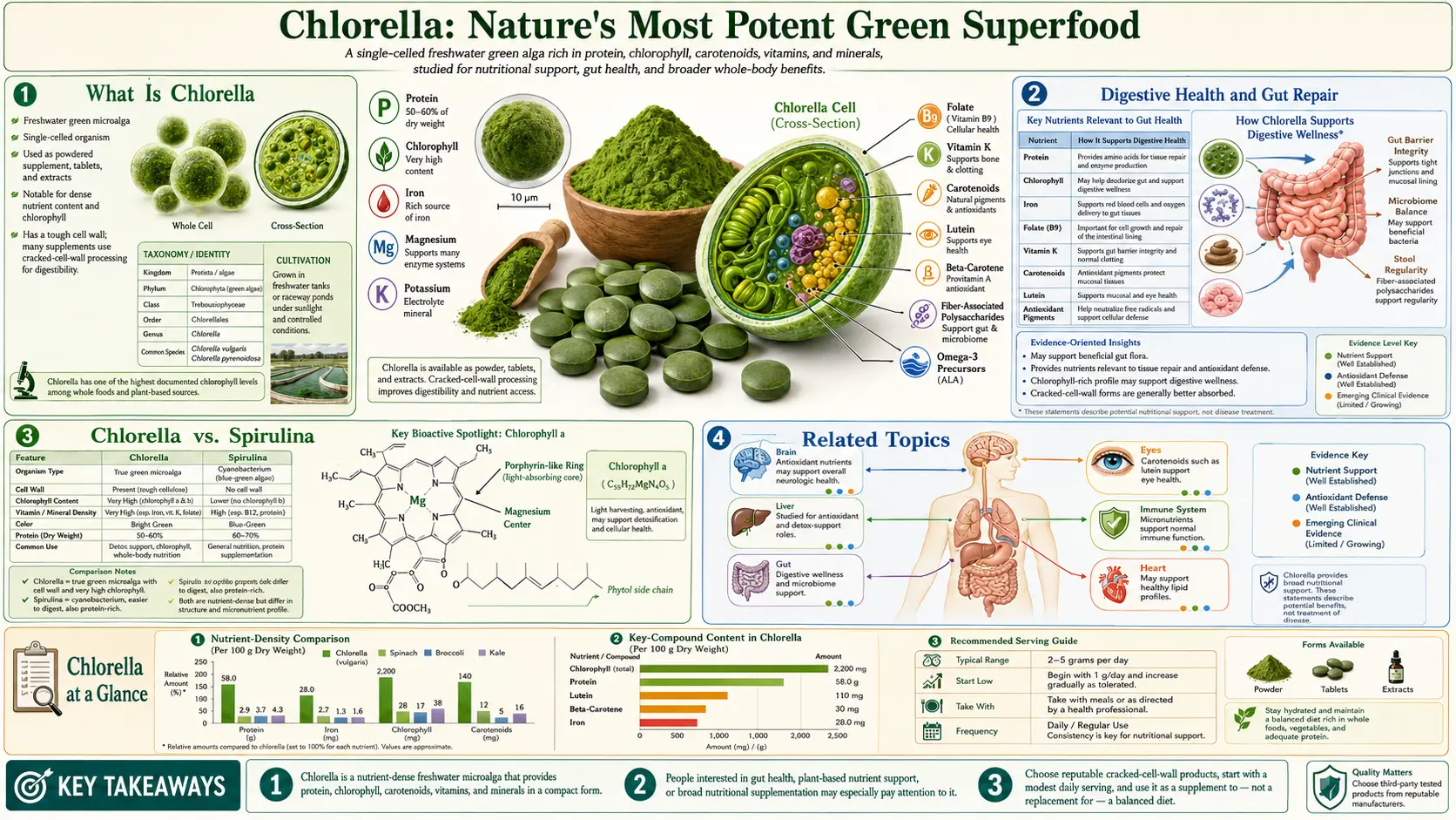 Chlorella — scientific infographic poster