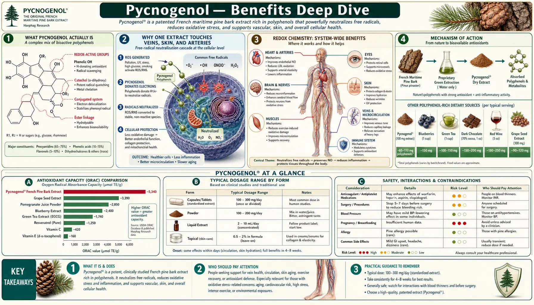 Benefits — scientific infographic poster