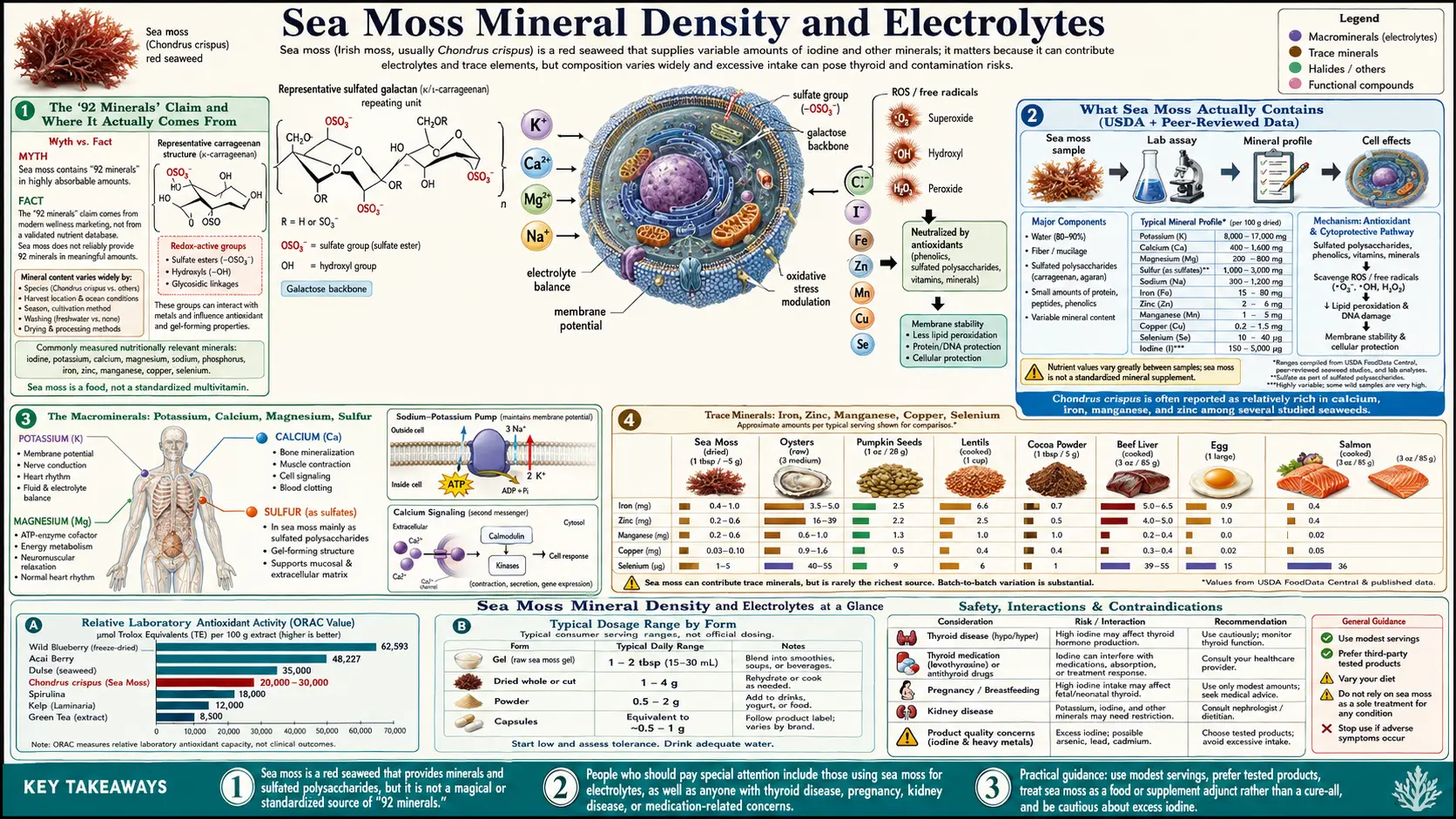 Mineral Density and Electrolytes — scientific infographic poster