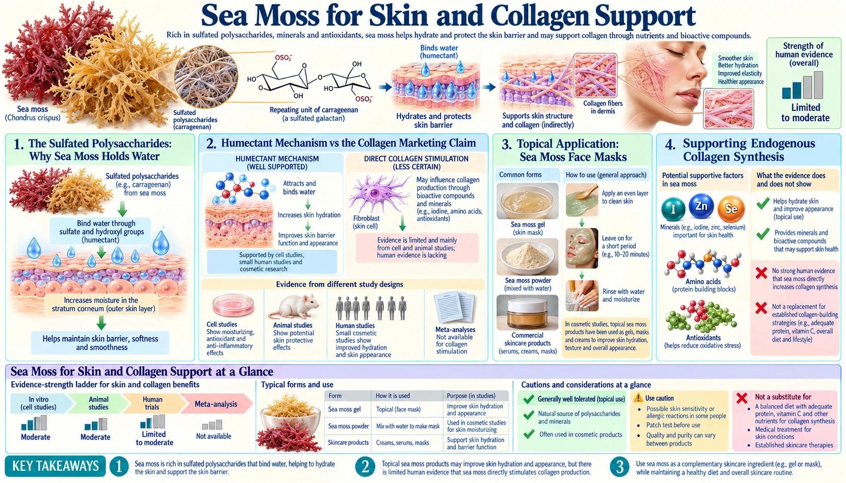 Skin and Collagen — scientific infographic poster