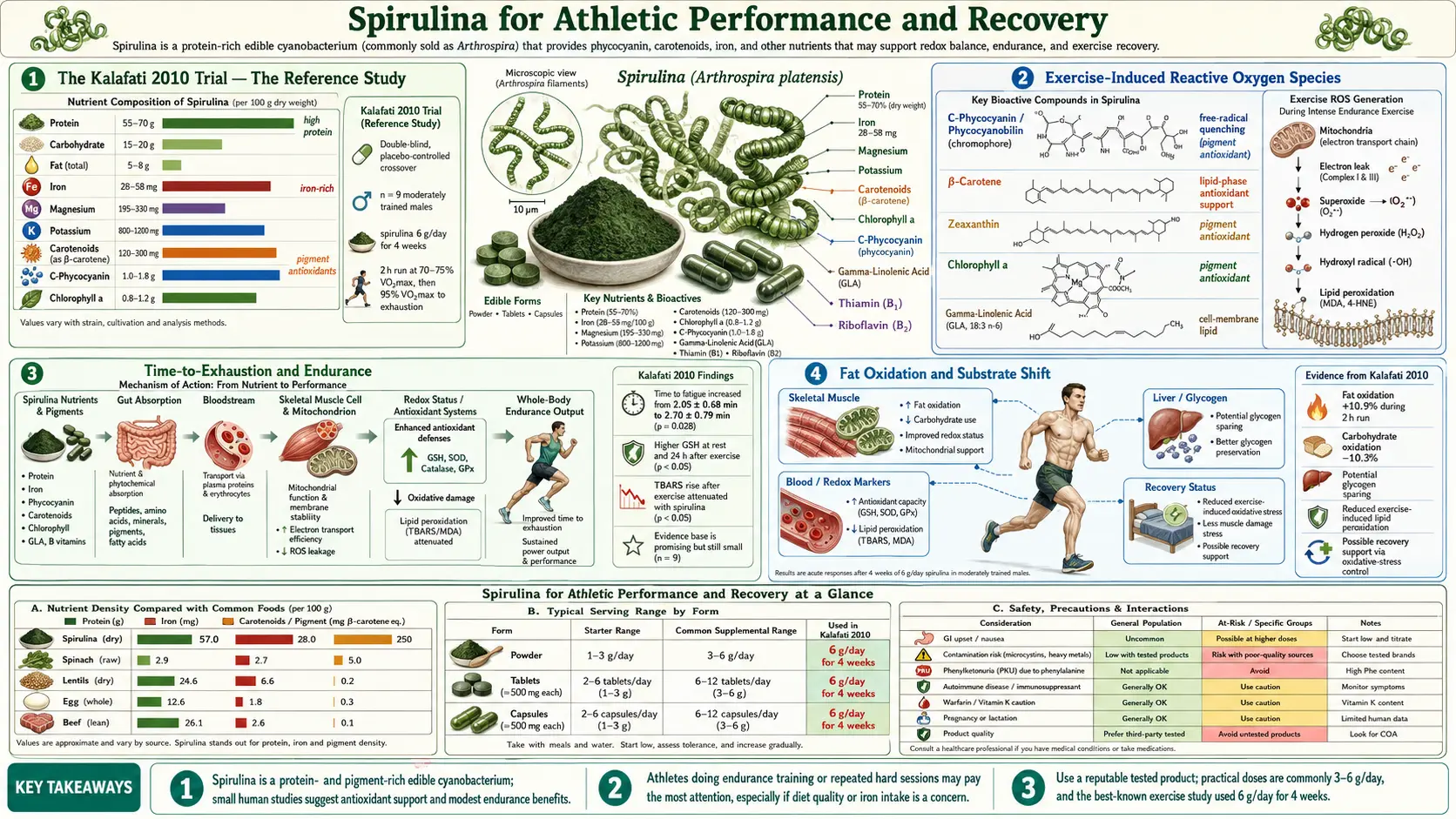 Athletic Performance — scientific infographic poster