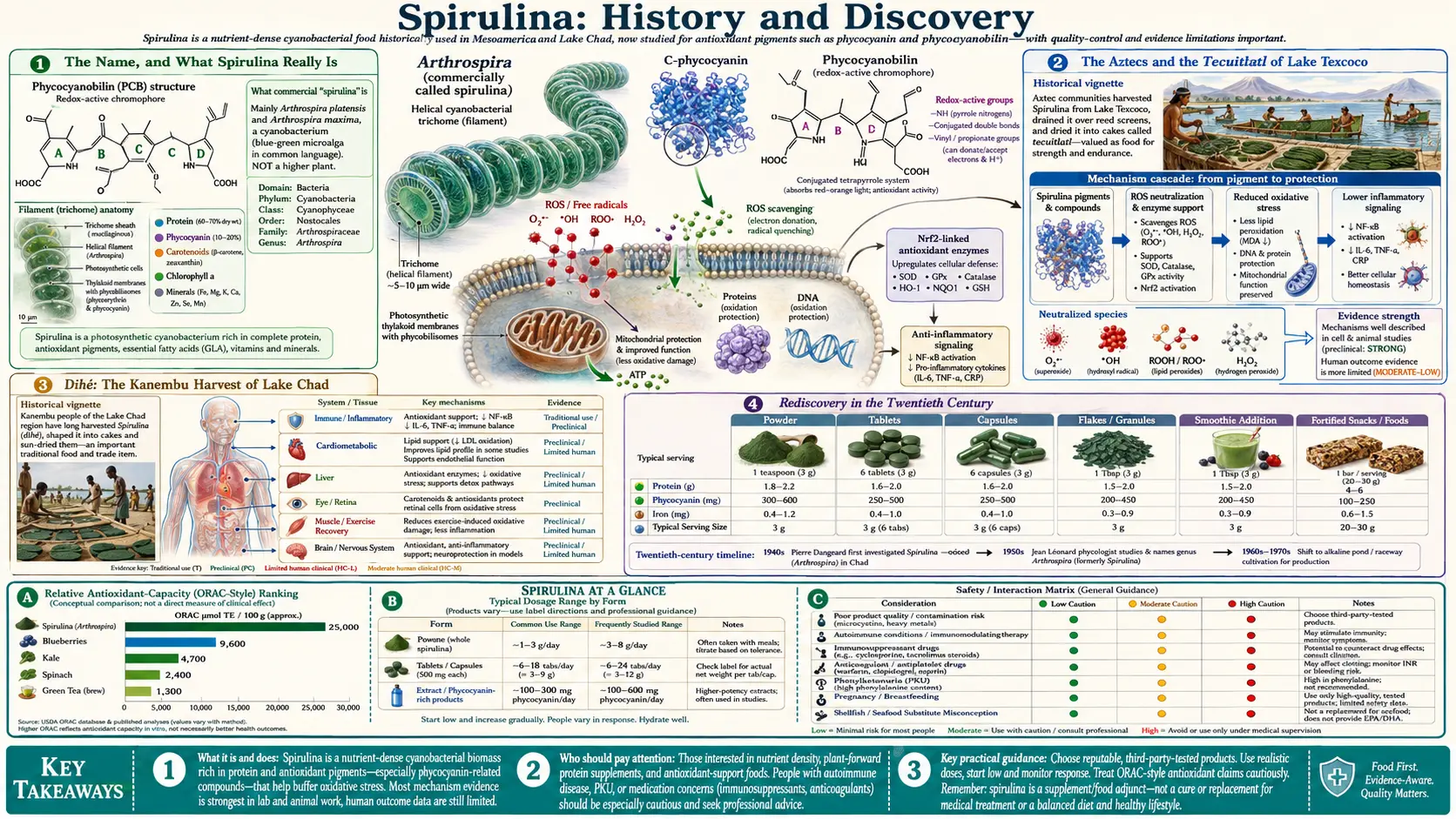 History — scientific infographic poster