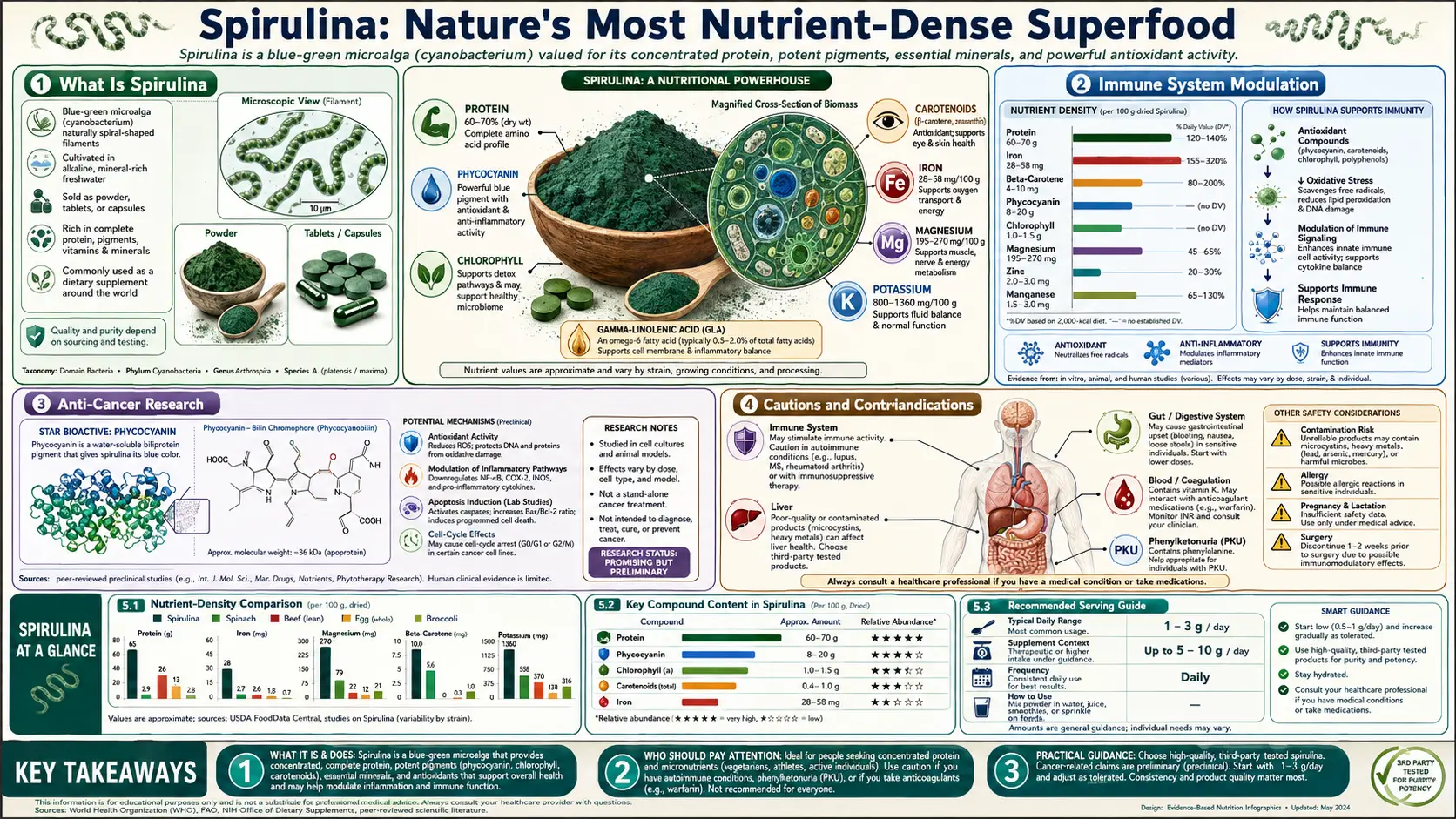 Spirulina — scientific infographic poster