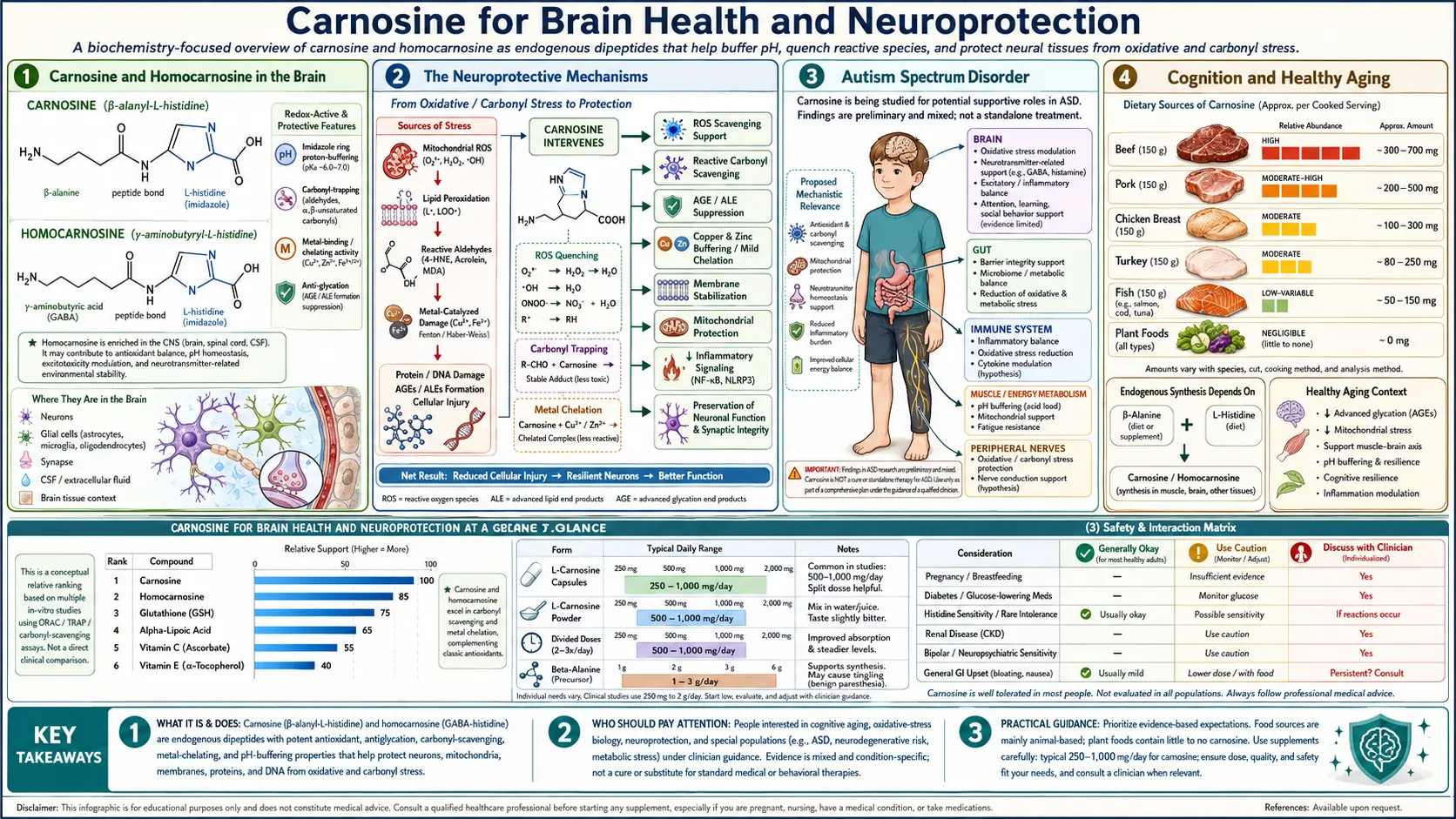Brain and Neuroprotection — scientific infographic poster