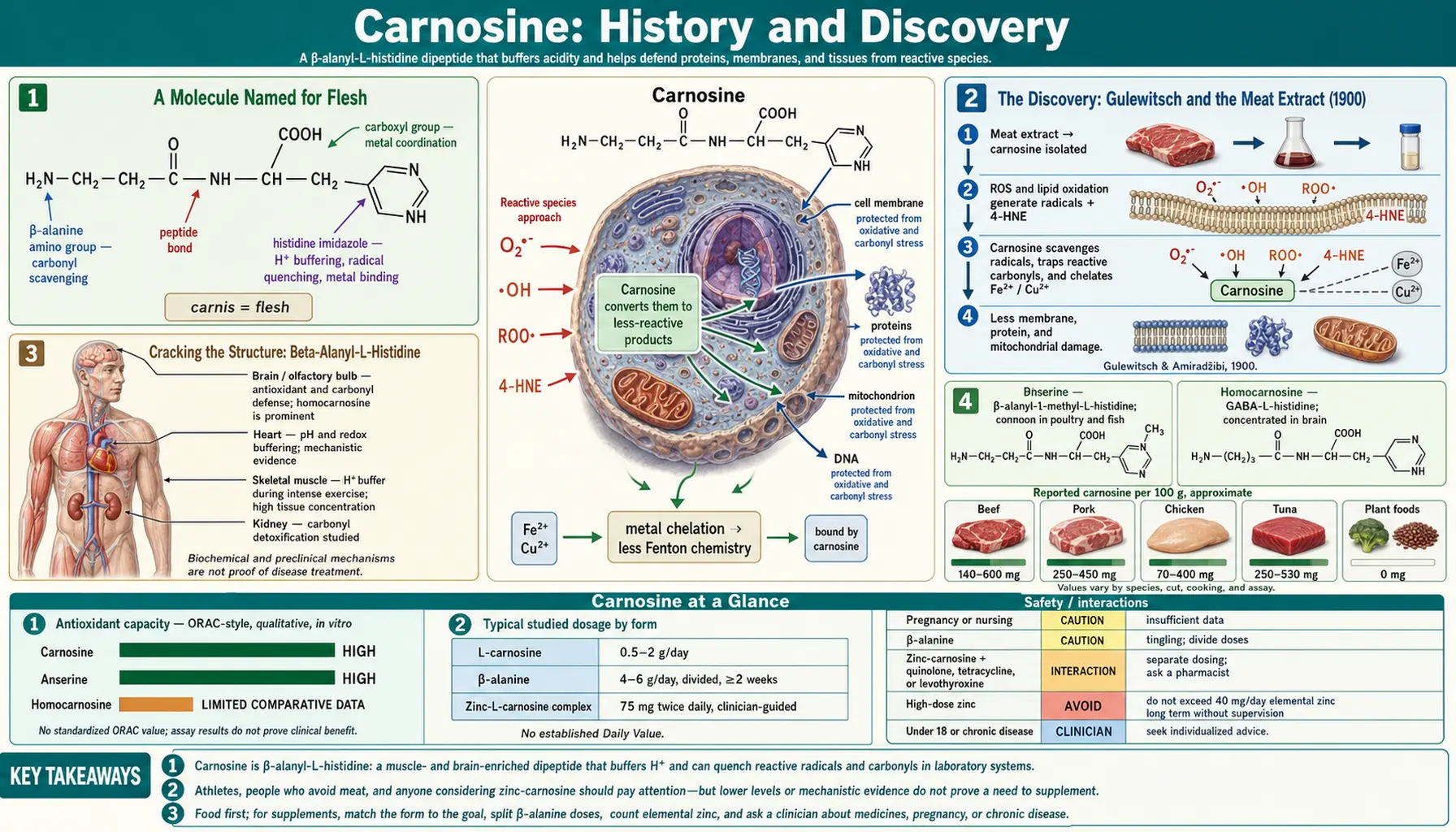 History — scientific infographic poster