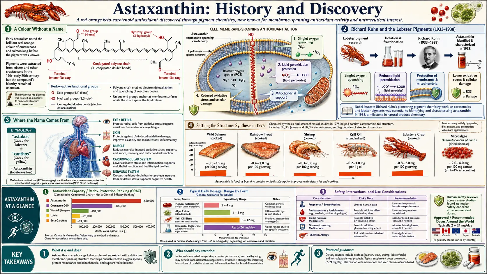 History — scientific infographic poster
