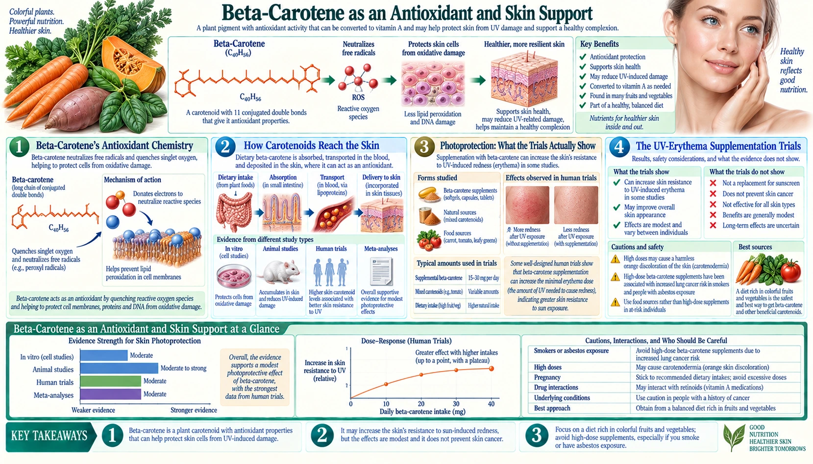Antioxidant and Skin — scientific infographic poster