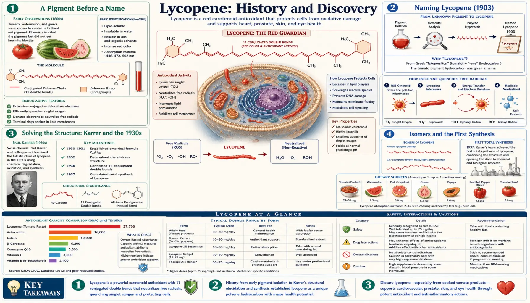 History — scientific infographic poster