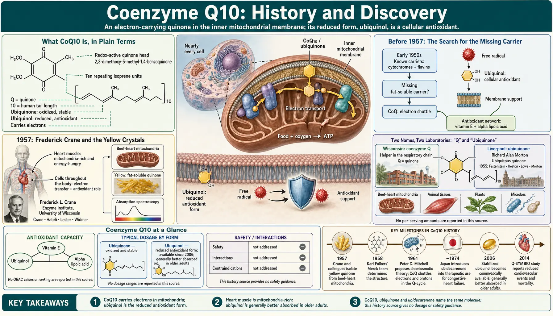 History — scientific infographic poster