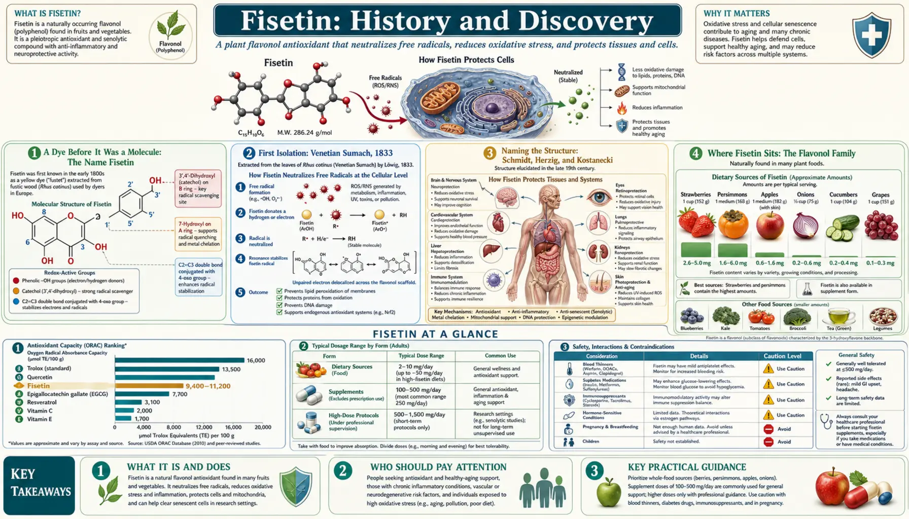 History — scientific infographic poster