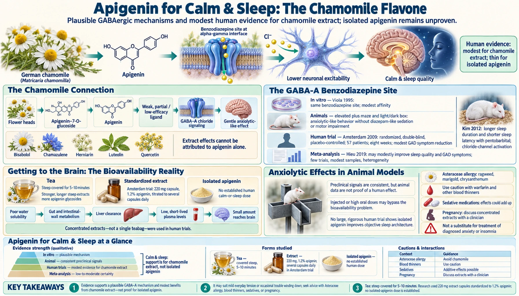 Calm and Sleep — scientific infographic poster