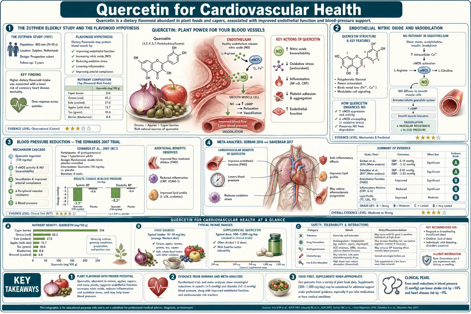 Cardiovascular Health — scientific infographic poster