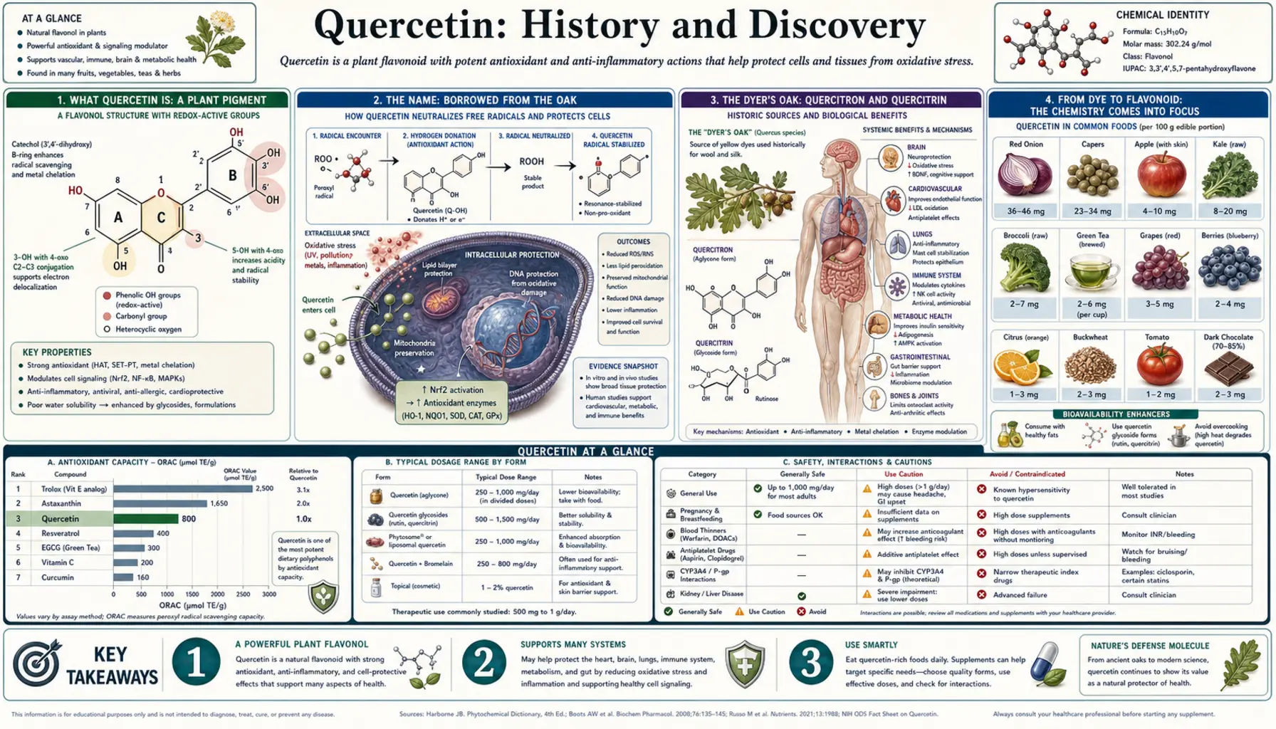 History — scientific infographic poster