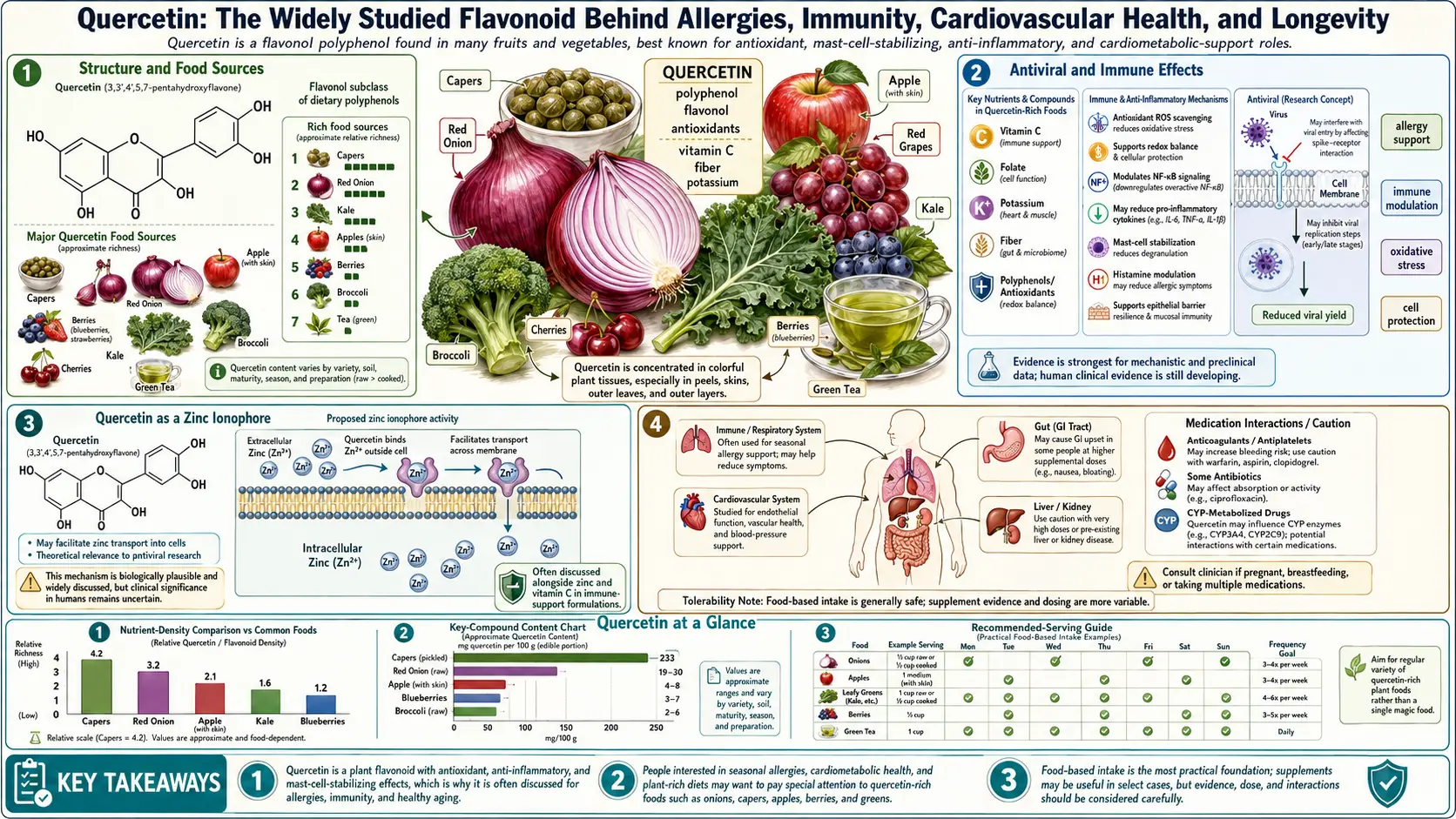 Quercetin — scientific infographic poster