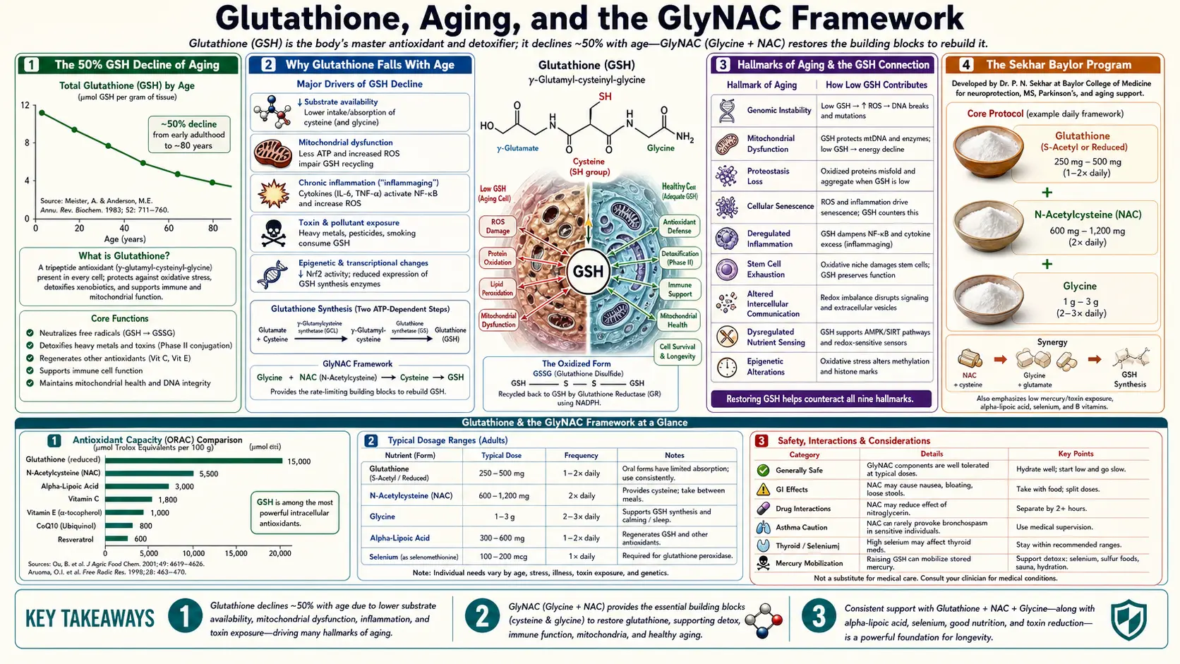 Aging and GlyNAC — scientific infographic poster