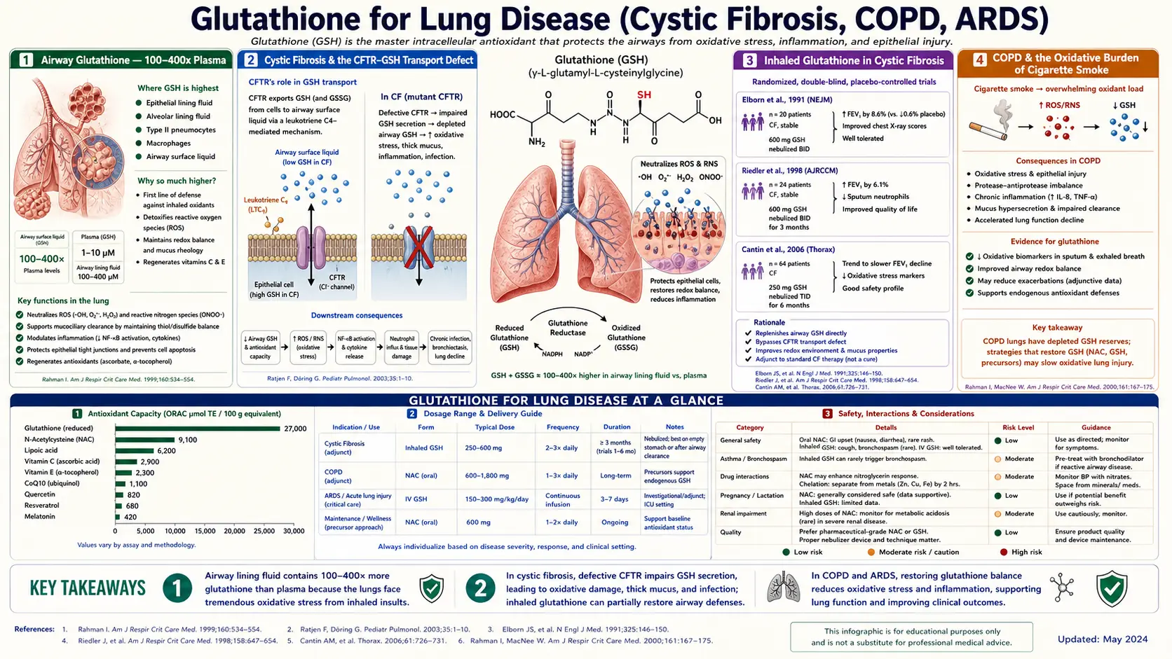 Lung Disease — scientific infographic poster