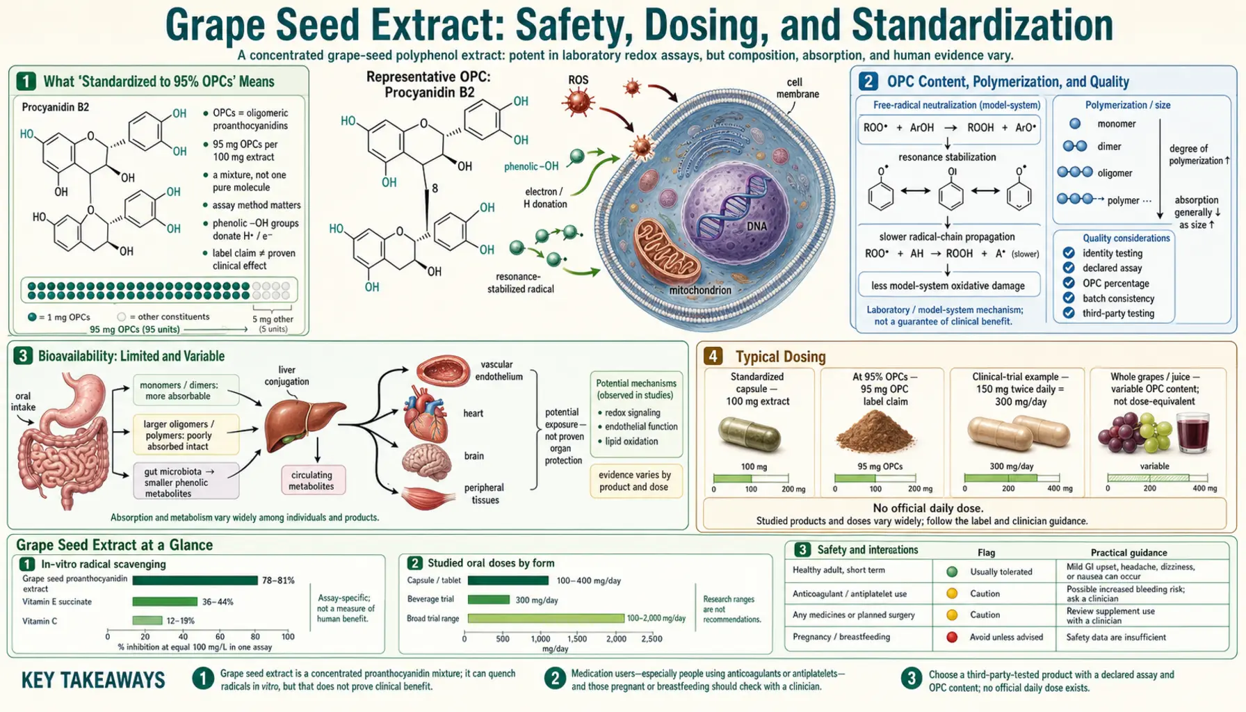 Safety and Standardization — scientific infographic poster