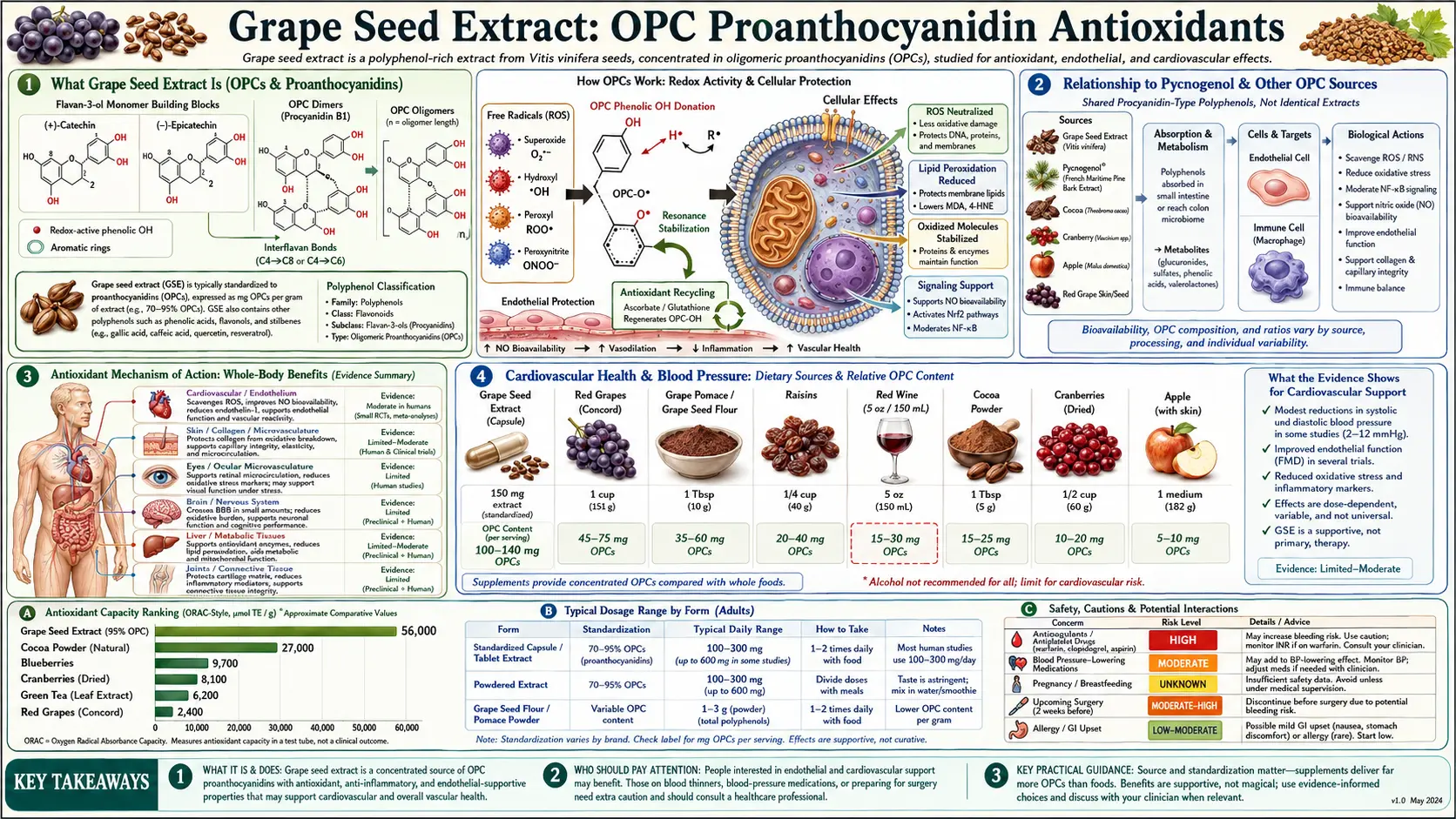 Grape Seed Extract — scientific infographic poster