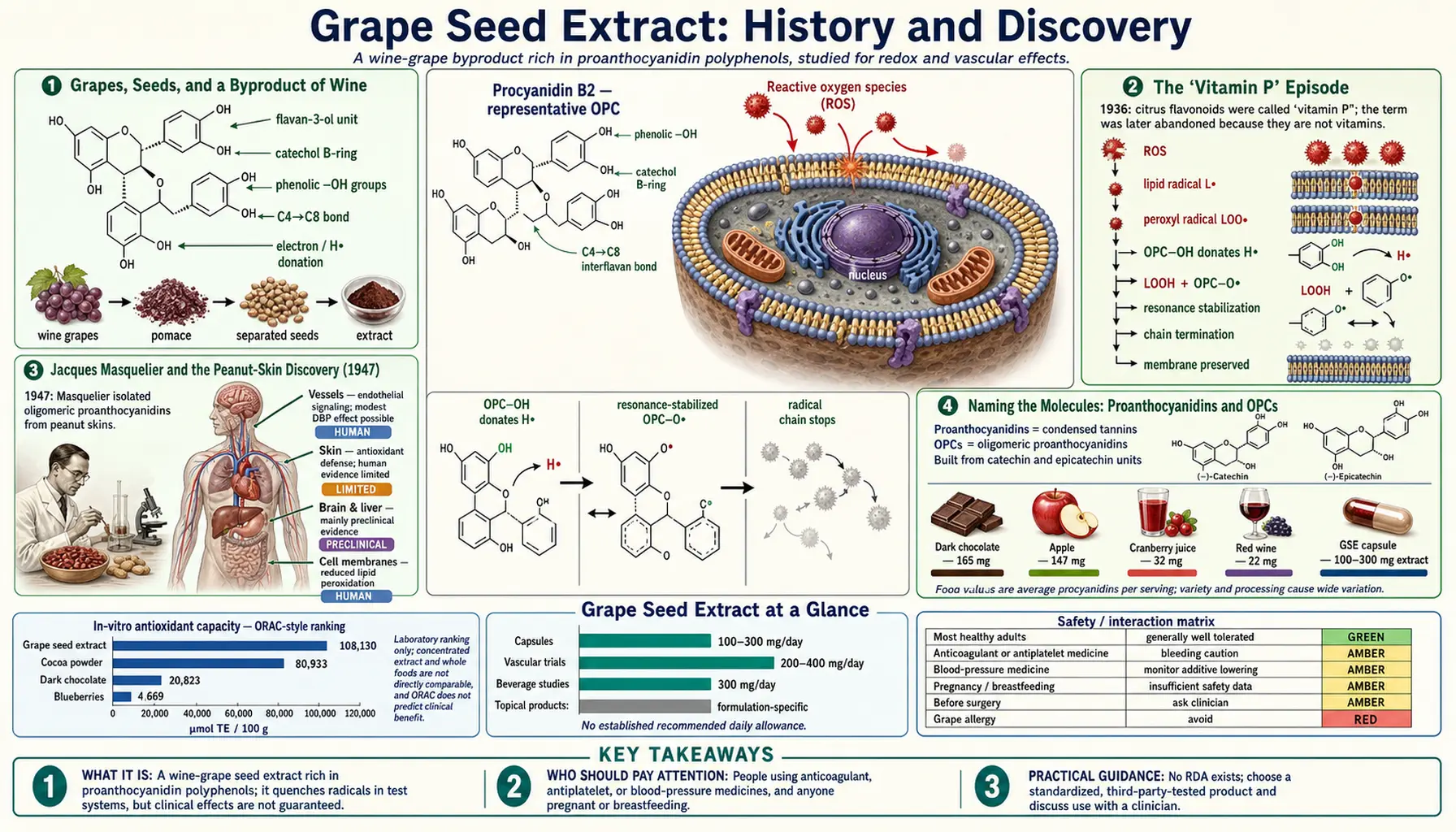 History — scientific infographic poster