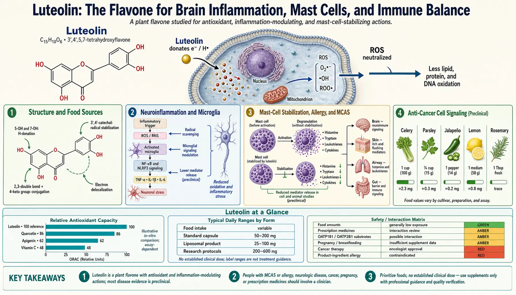 Luteolin — scientific infographic poster