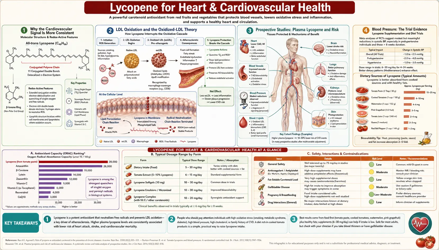 Heart and Cardiovascular — scientific infographic poster