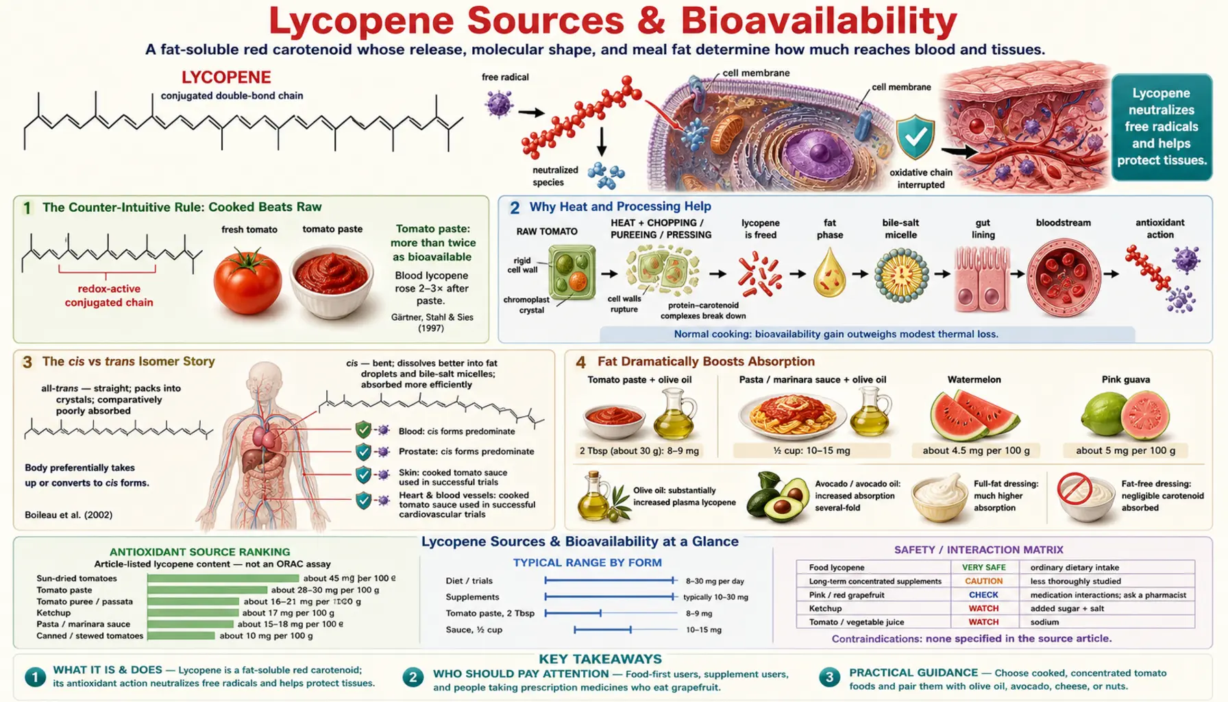Sources and Bioavailability — scientific infographic poster
