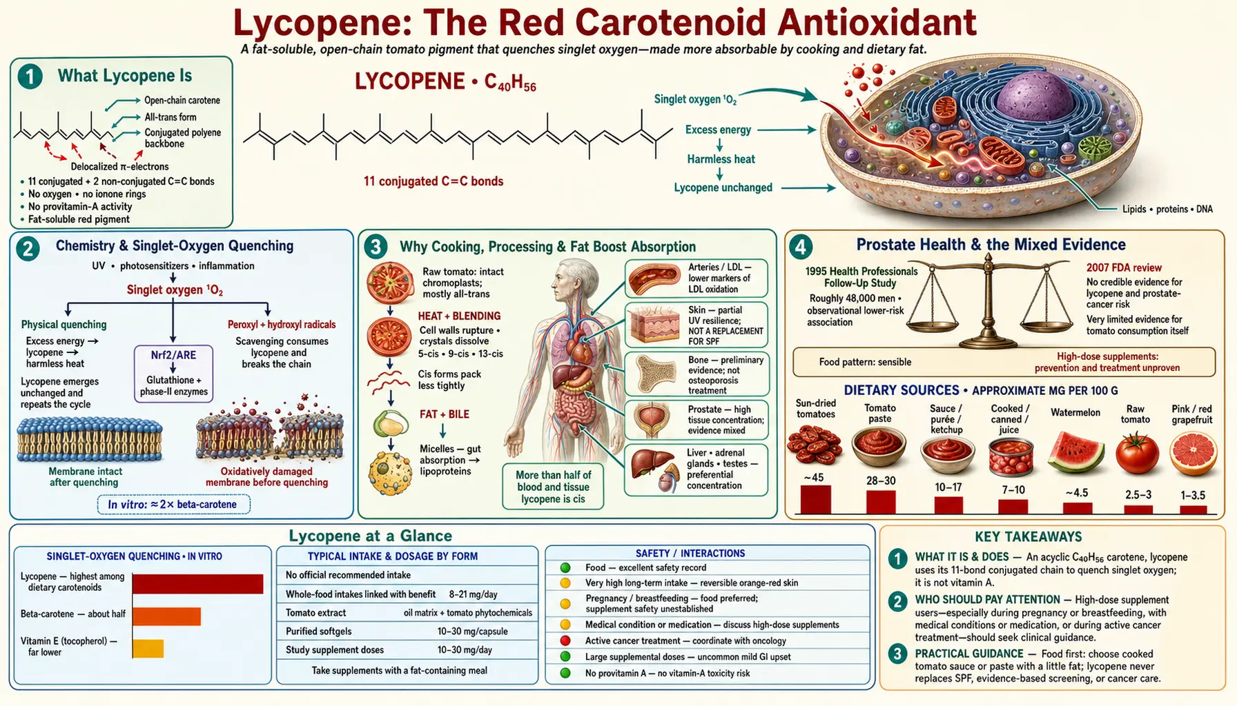 Lycopene — scientific infographic poster