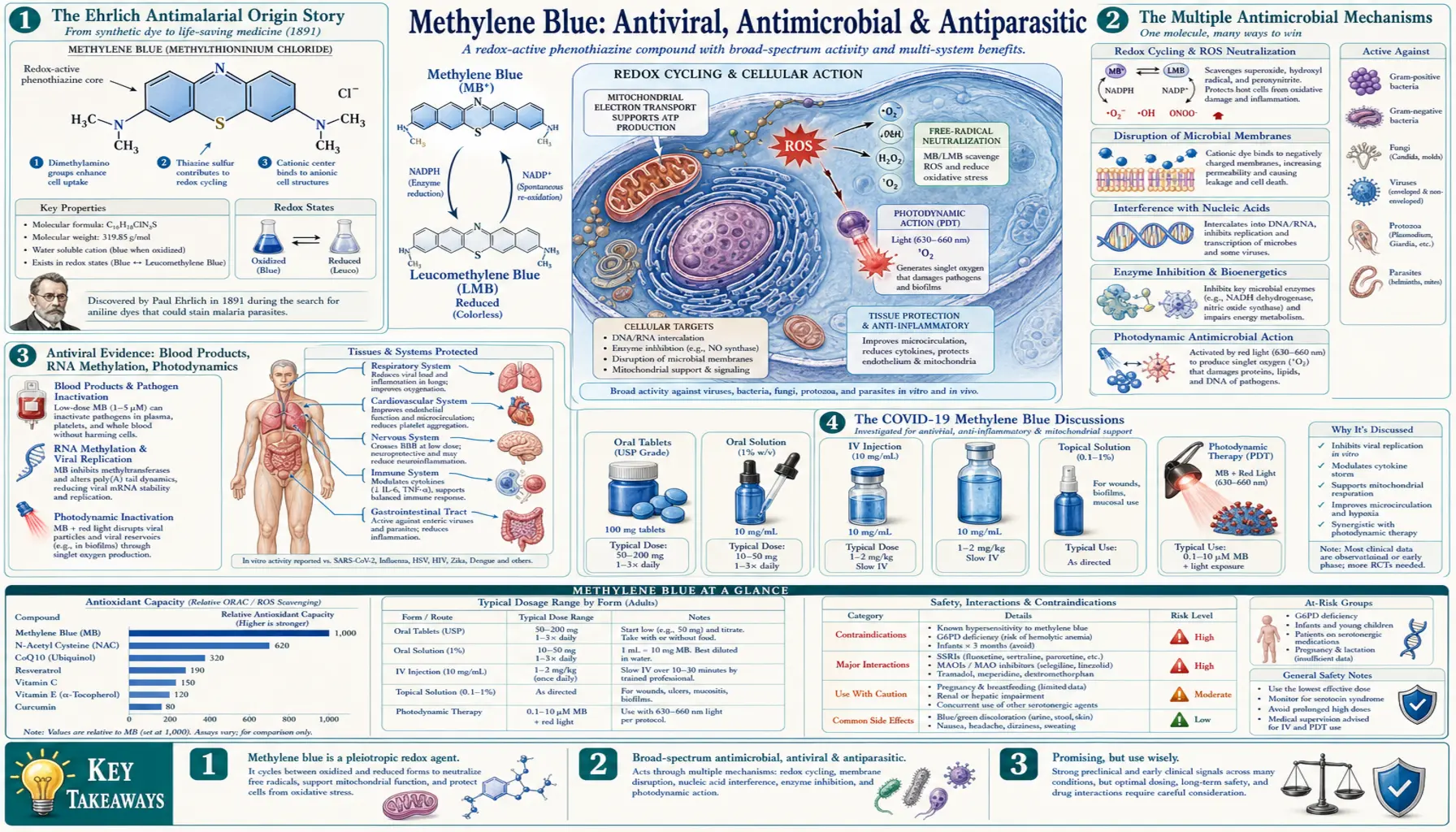 Antiviral — scientific infographic poster