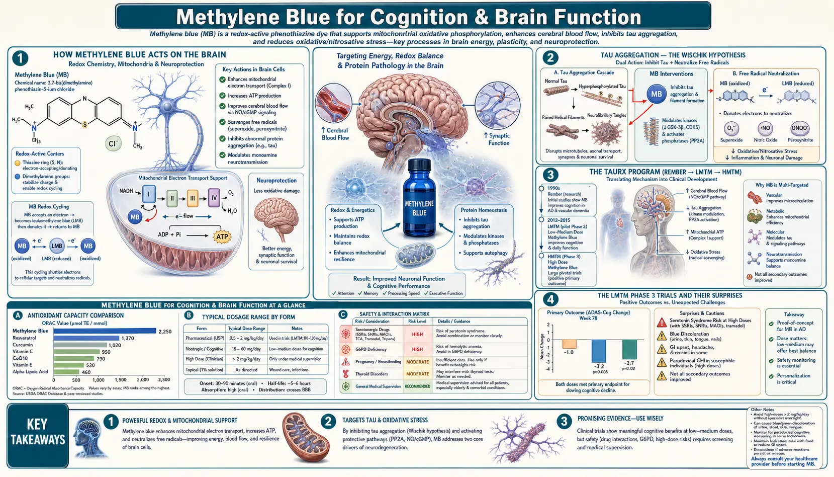 Cognition and Brain — scientific infographic poster