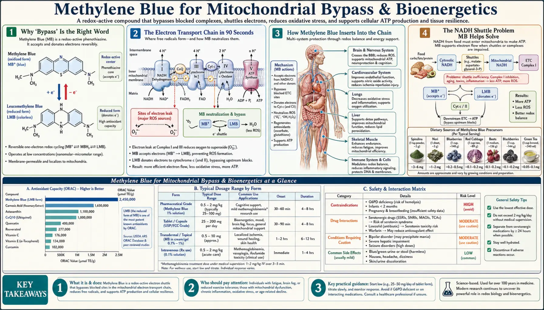 Mitochondrial Bypass — scientific infographic poster