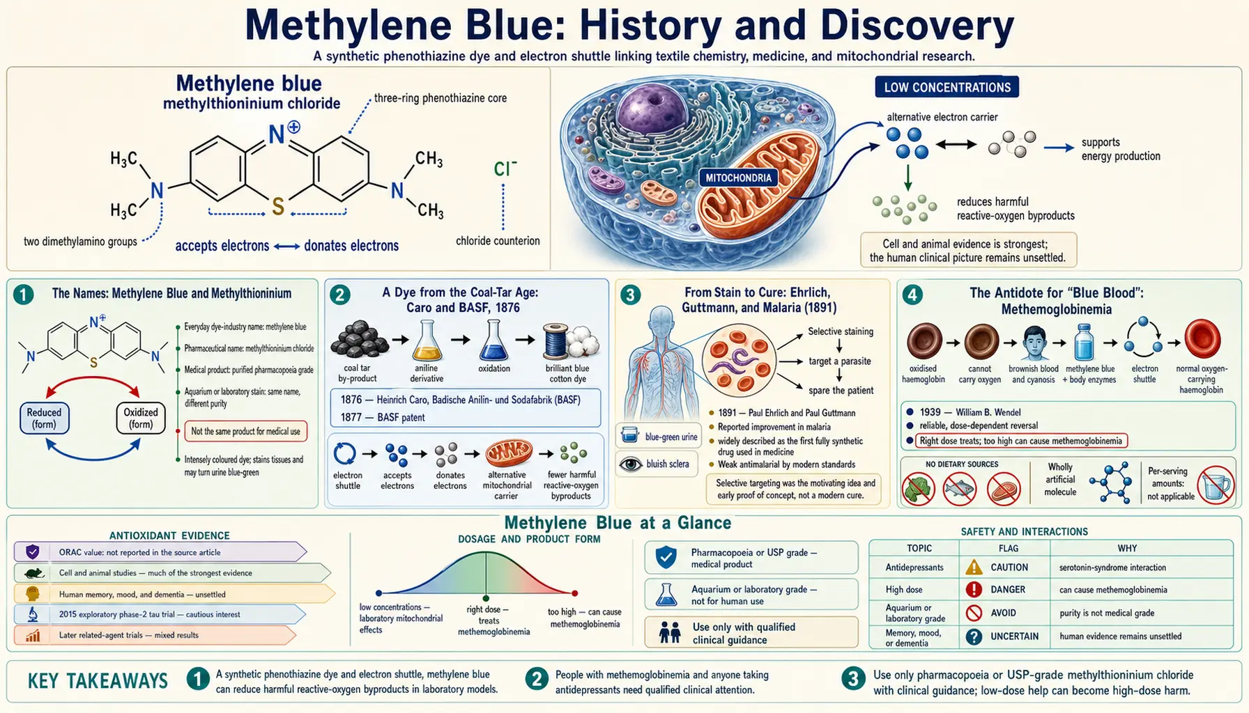 History — scientific infographic poster