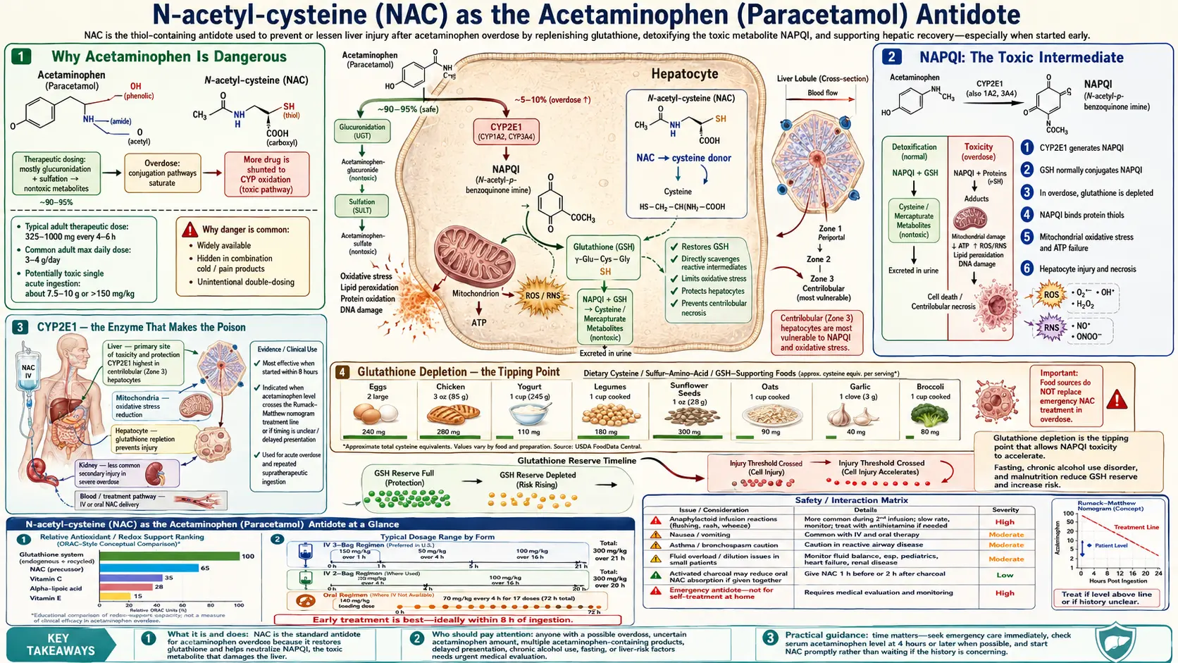 Acetaminophen Antidote — scientific infographic poster