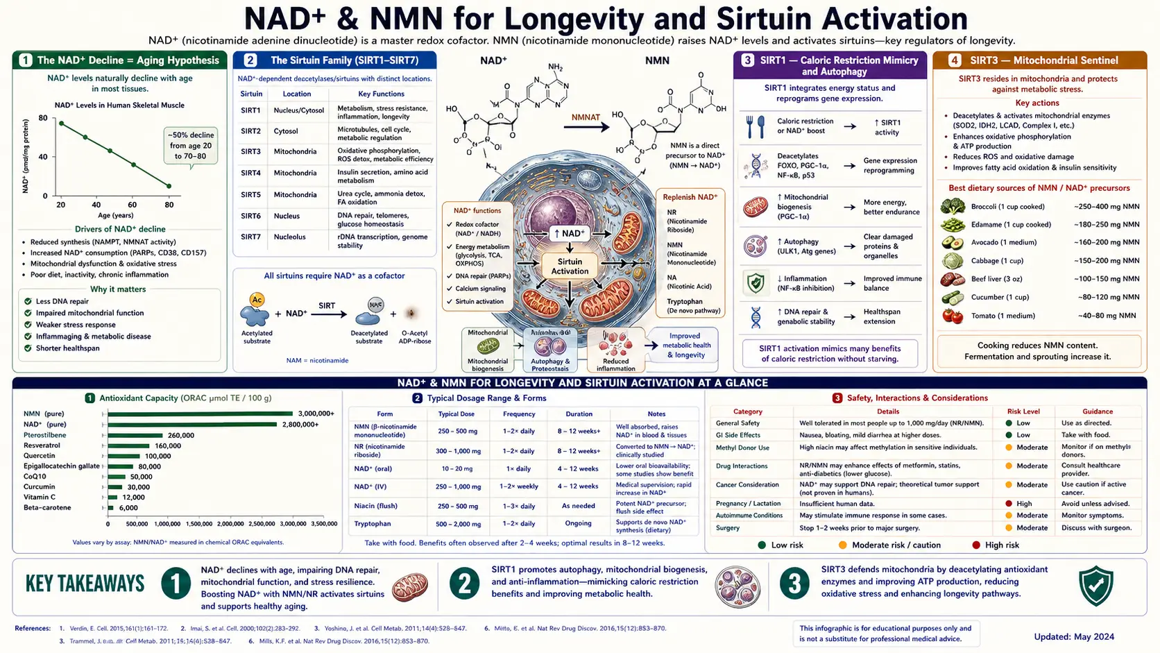 Longevity and Sirtuins — scientific infographic poster
