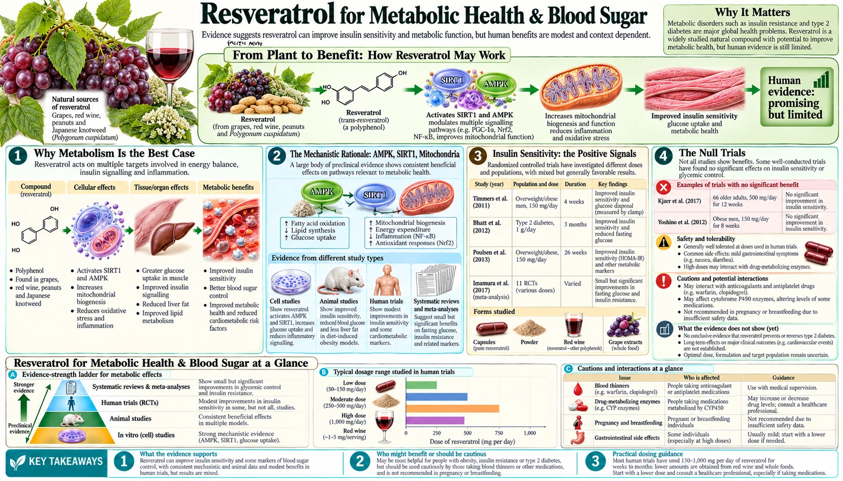 Metabolic and Blood Sugar — scientific infographic poster