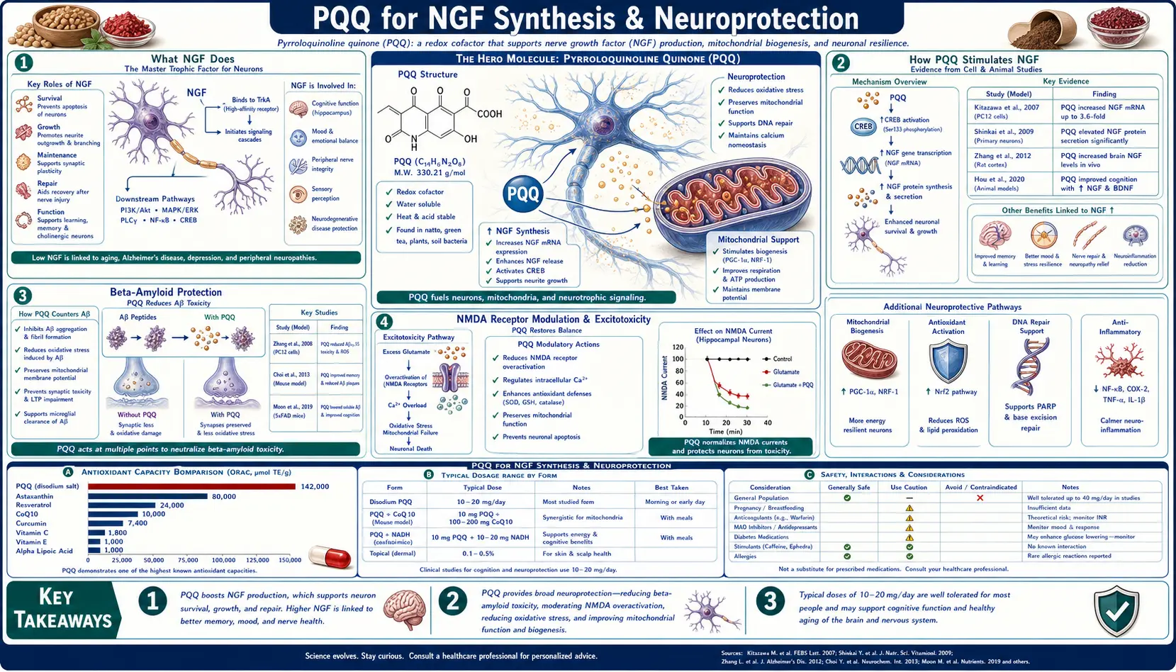 NGF Synthesis — scientific infographic poster