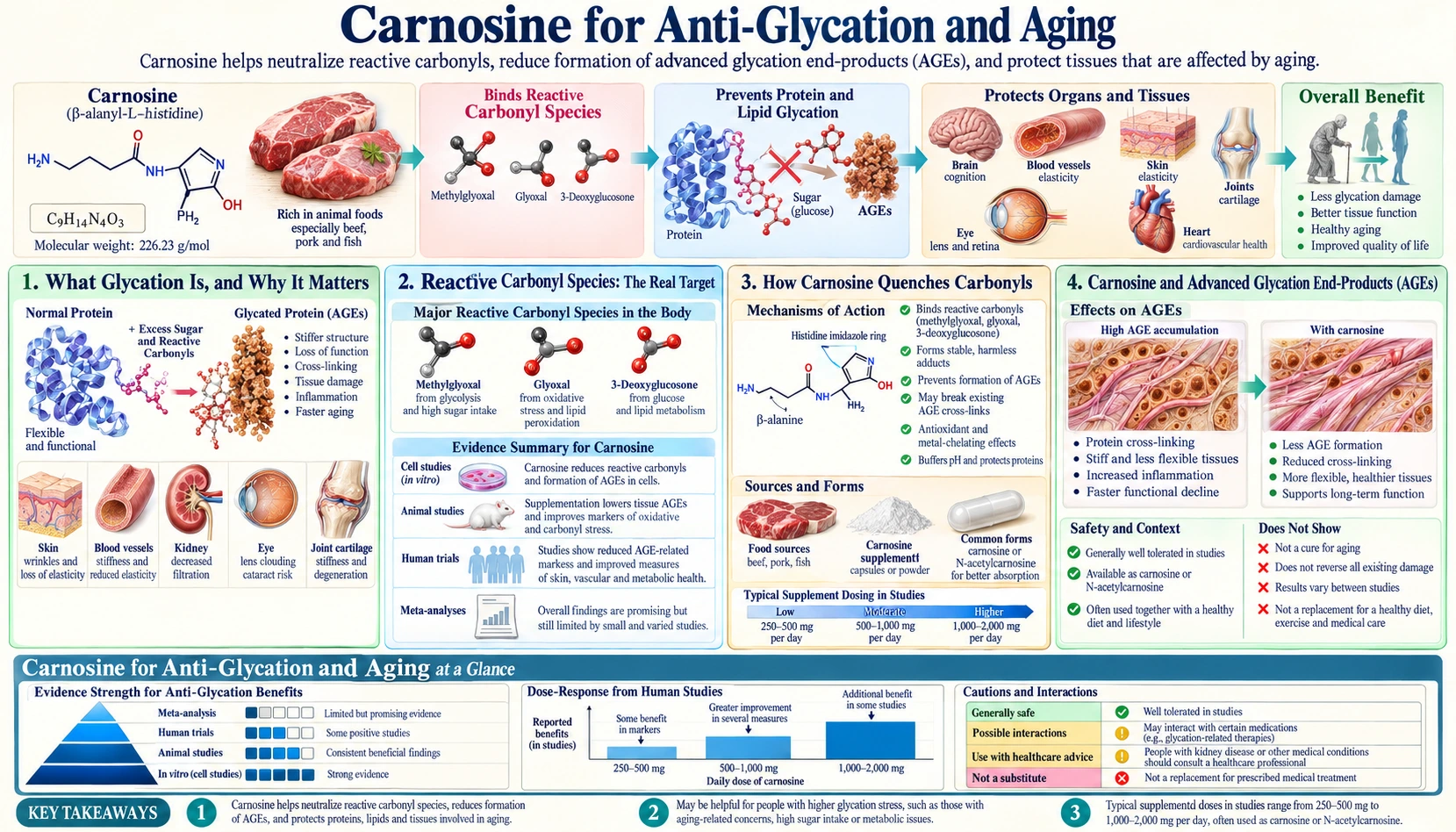 Anti Glycation and Aging — scientific infographic poster