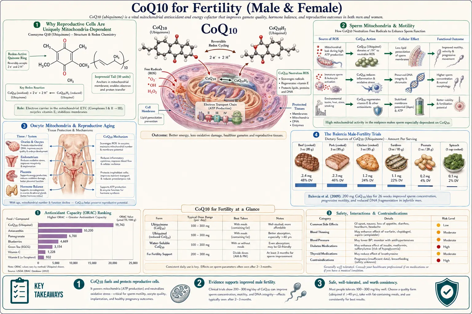Fertility — scientific infographic poster