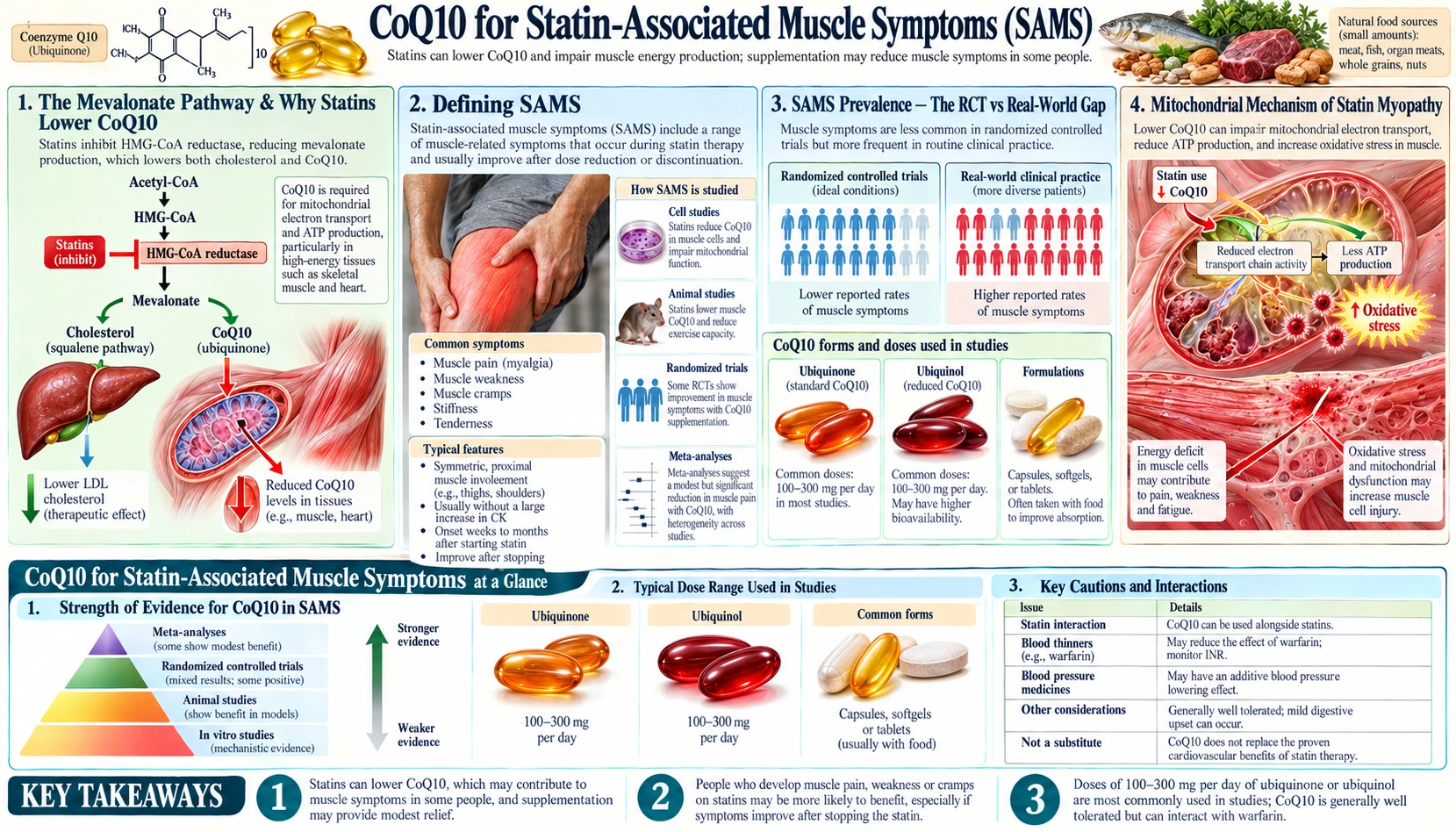Statin Myopathy — scientific infographic poster