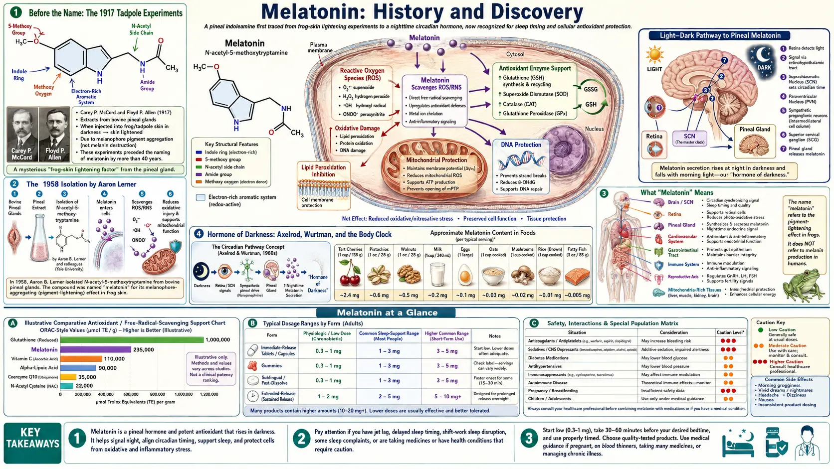 History — scientific infographic poster