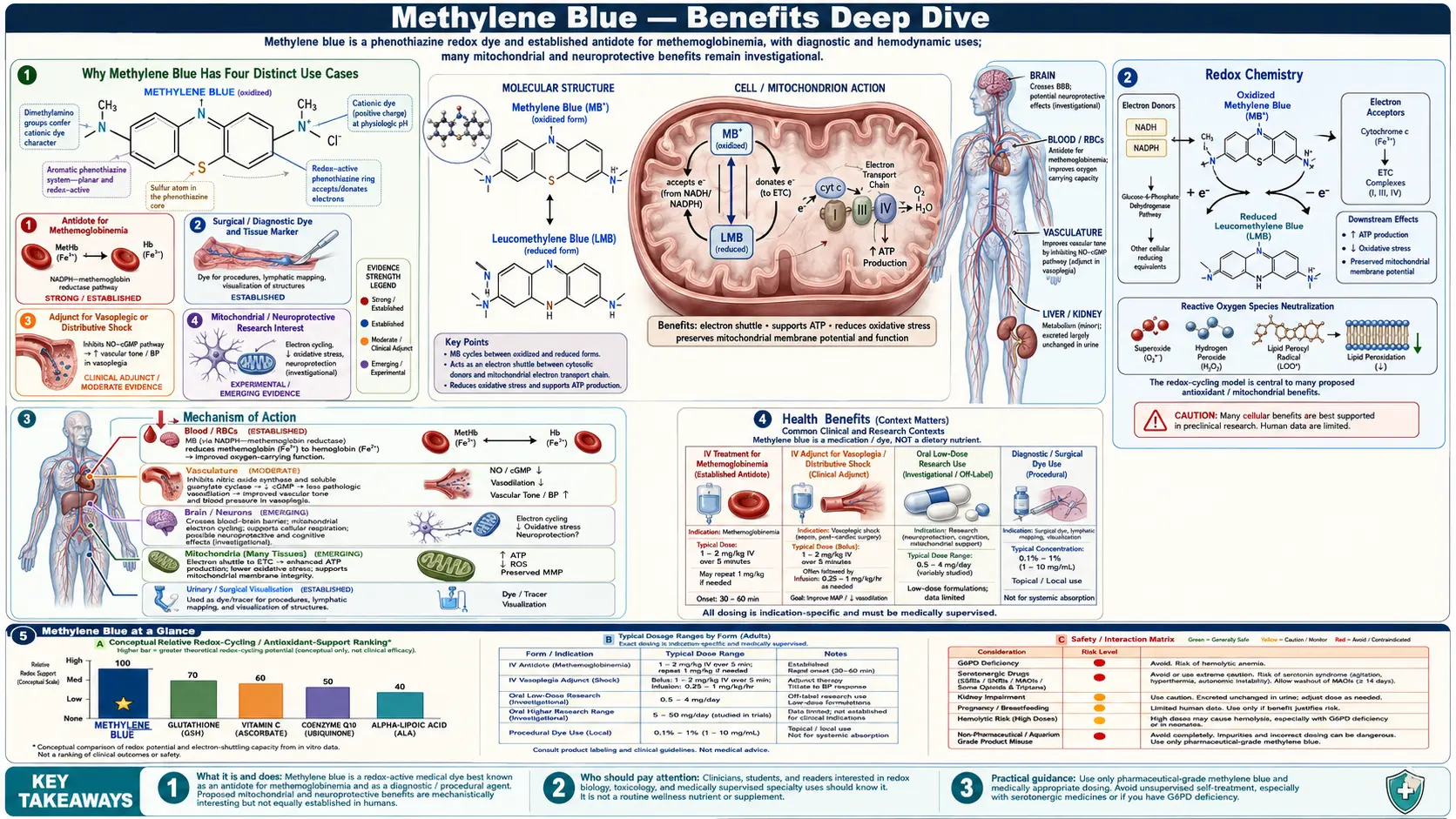 Benefits — scientific infographic poster