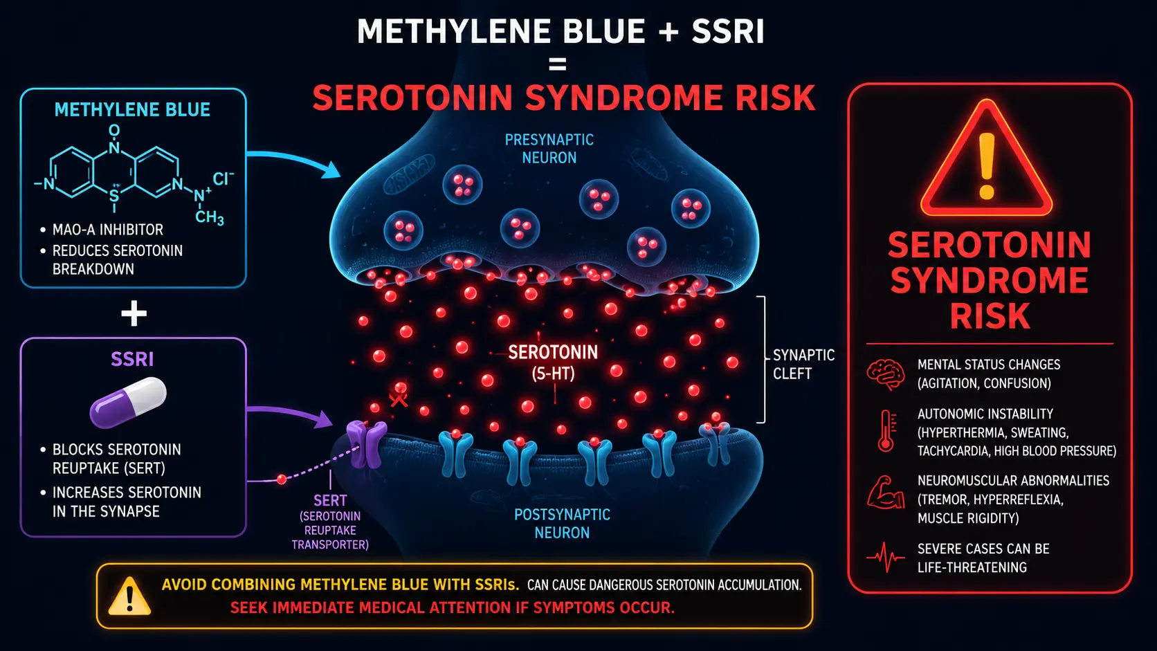 Methylene blue plus SSRI causing serotonin accumulation in synaptic cleft