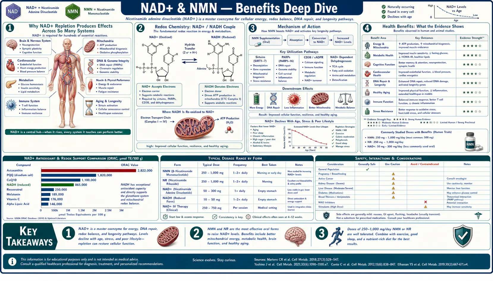 Benefits — scientific infographic poster