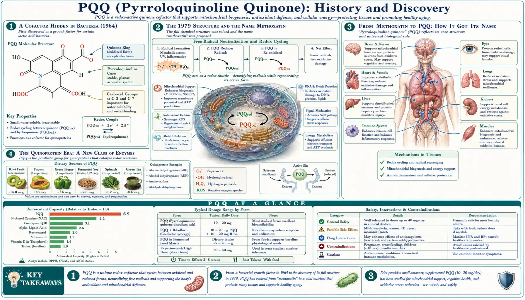 History — scientific infographic poster